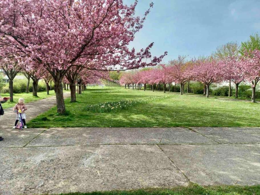 Le Domaine Reserve , Parking Et Ecrin De Verdure Amiens Exterior foto